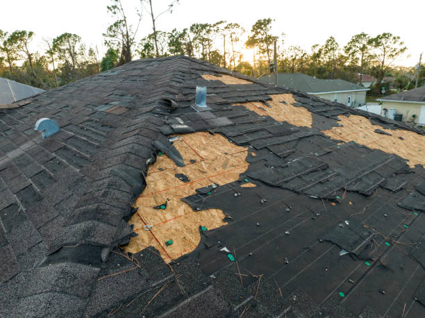 Best Wood Shake Roofing  in Bogata, TX